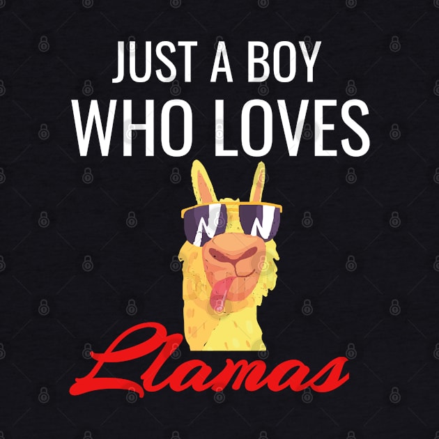 Just a boy who loves llamas by madani04